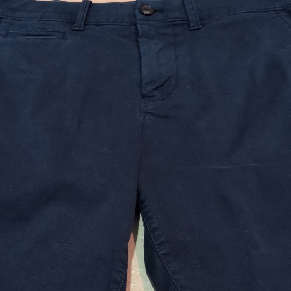 Express Blue Flat Front Shorts
